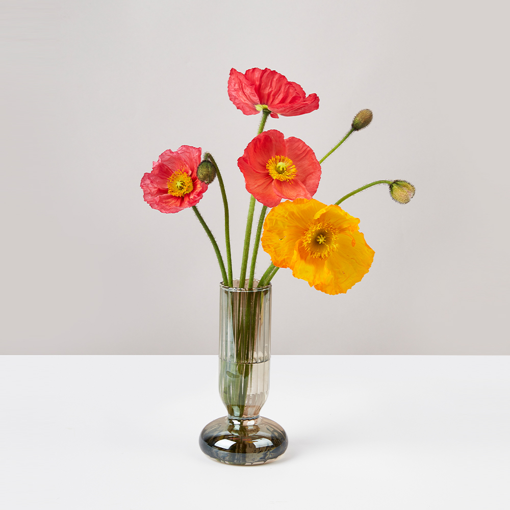 양귀비 화병 세트